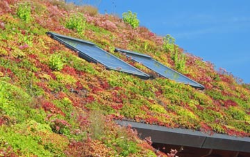 Chilcomb living roof systems
