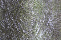 Chilcomb fibreglass roof work